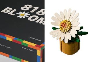 （分類：）位於 。 由 lyycb 提交（商品編號 1419641725，圖片 1）。簡介： 。