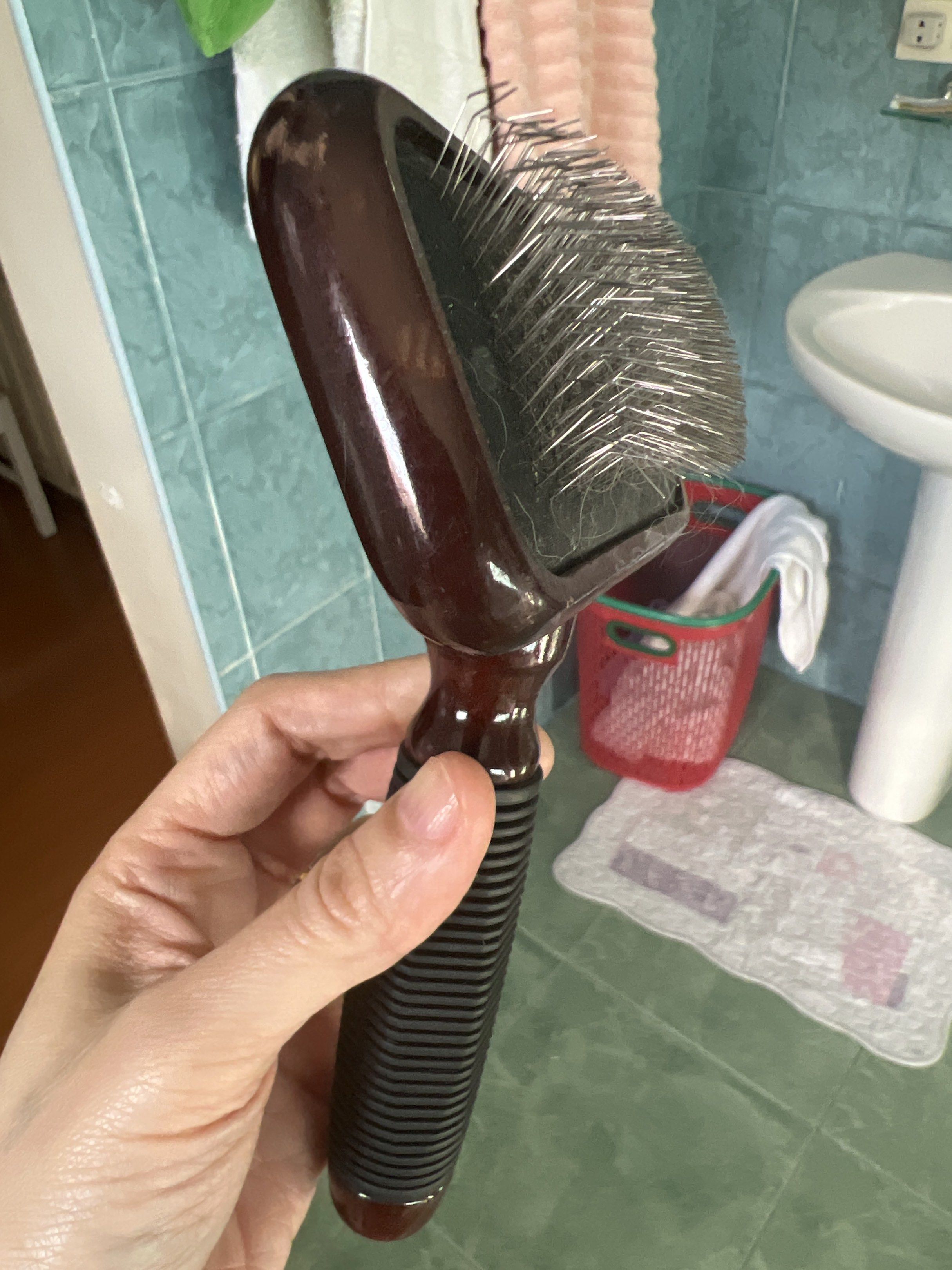 Kenchii Professional Hair Brush (Category: Homes & Other Pet Accessories) located in Quezon City. Submitted by jadz16 (Listing ID 1419592898, Image 3). Description: -Kenchii Professional Detangling Brush -slightly used, no issue -bought it for 2,500++ -selling super low -RFS: declutter .