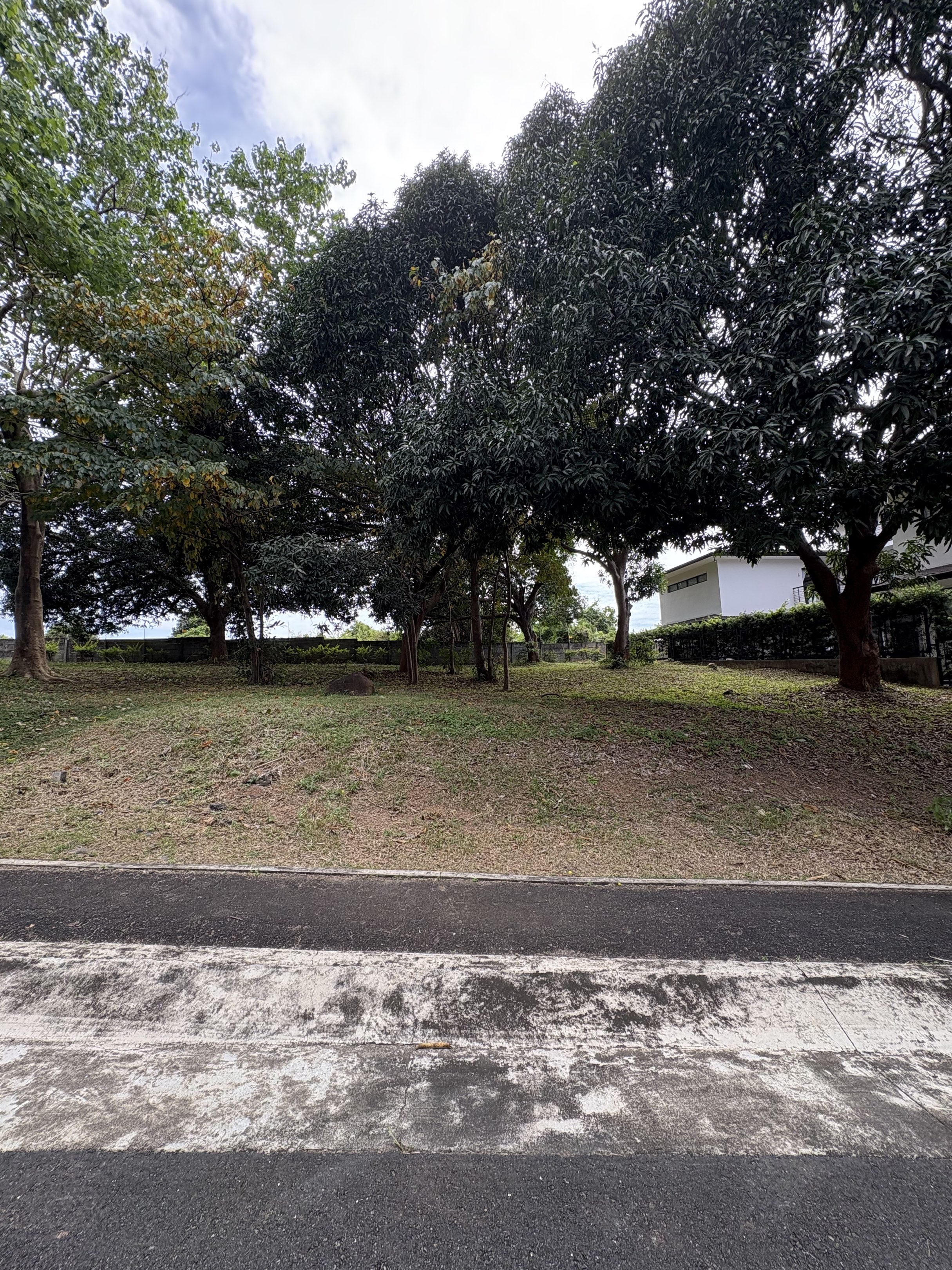 (Category: ) located in . Submitted by joie_09176718524 (Listing ID 1419613731, Image 1). Description: .