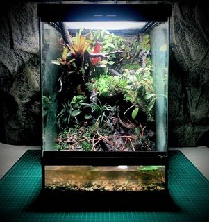 (Category: ) located in . Submitted by nativeforest9 (Listing ID 1419713224, Image 1). Description: .