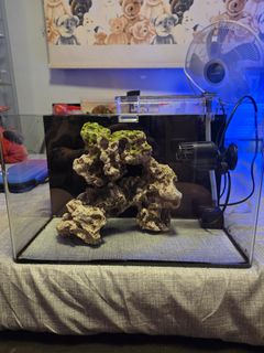 (Category: ) located in . Submitted by fusayoshif32091 (Listing ID 1419634751, Image 1). Description: .