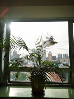 (Category: ) located in . Submitted by kellykuah (Listing ID 1419595784, Image 1). Description: .