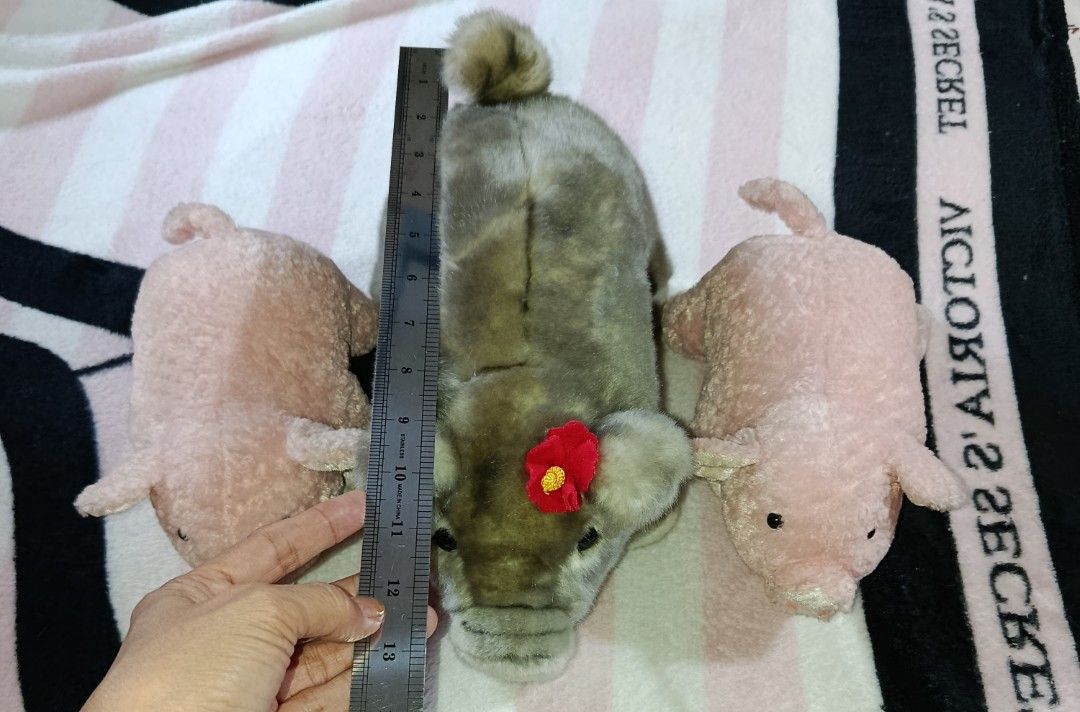 3 plushie pigs take all for P100 (Category: Plushies & Soft Toys) located in Quezon City. Submitted by kristal68 (Listing ID 1419846583, Image 2). Description: take all for P100 LP.