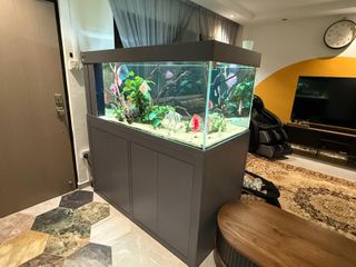 (Category: ) located in . Submitted by blackrose (Listing ID 1419931427, Image 1). Description: .