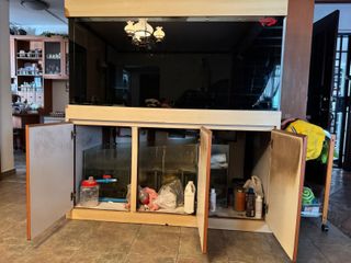 (Category: ) located in . Submitted by cramology (Listing ID 1419806534, Image 1). Description: .