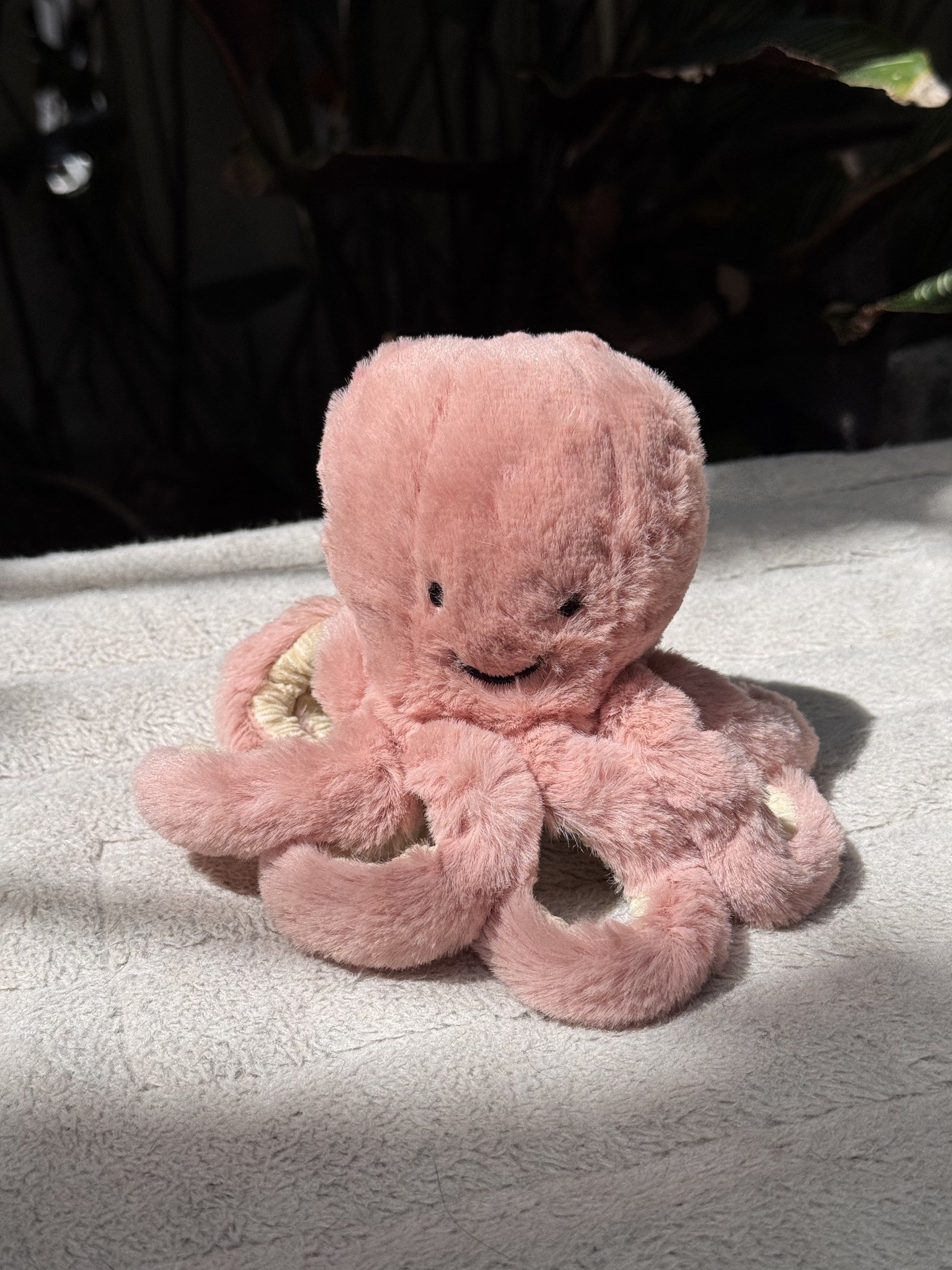 Jellycat Baby Odell Octopus (Category: Plushies & Soft Toys) located in Caloocan City. Submitted by raeccas.selections (Listing ID 1419958975, Image 1). Description: - Original, comes with a tag - Perfect for cuddling or decoration - Collectible item 📍north caloocan 📍marikina (by sched) Gcash/bank transfer Lalamove/J&T.