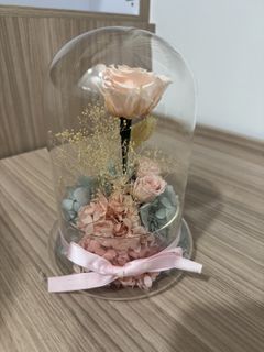 （分類：）位於 。 由 sandylss 提交（商品編號 1419906895，圖片 1）。簡介： 。