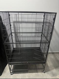 (Category: ) located in . Submitted by birdkeeper7891 (Listing ID 1419915958, Image 1). Description: .