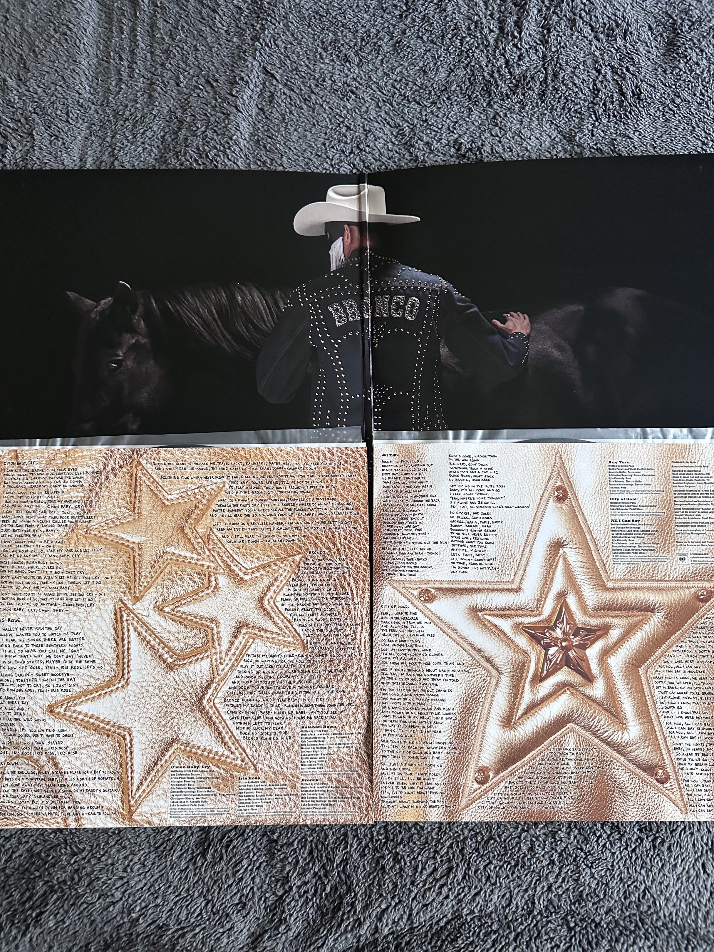 Orville Peck - Bronco Vinyl Record (Category: Vinyls) located in Mabalacat. Submitted by nuwanda4dps (Listing ID 1419834460, Image 3). Description: Pre-owned. Only played it once or twice. Condition: Jacket - M Vinyl (LP) - M RFS: decluttering Shipping via lalamove (QC/Pamp area) Payment via GCash PM if interested. Thank you..
