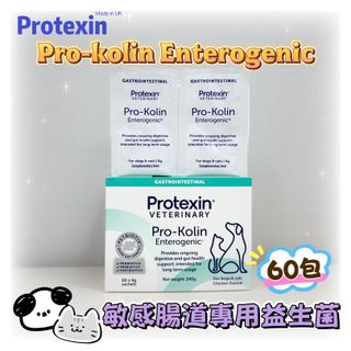 （分類：）位於 。 由 pettalkcompany 提交（商品編號 1243957862，圖片 1）。簡介： 。
