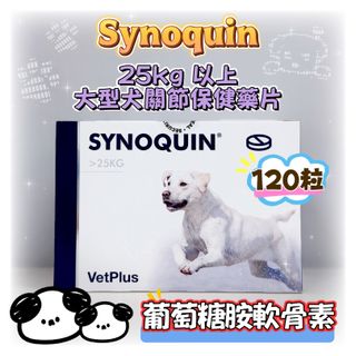 （分類：）位於 。 由 pettalkcompany 提交（商品編號 1419856831，圖片 1）。簡介： 。