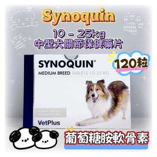 （分類：）位於 。 由 pettalkcompany 提交（商品編號 1419857376，圖片 1）。簡介： 。