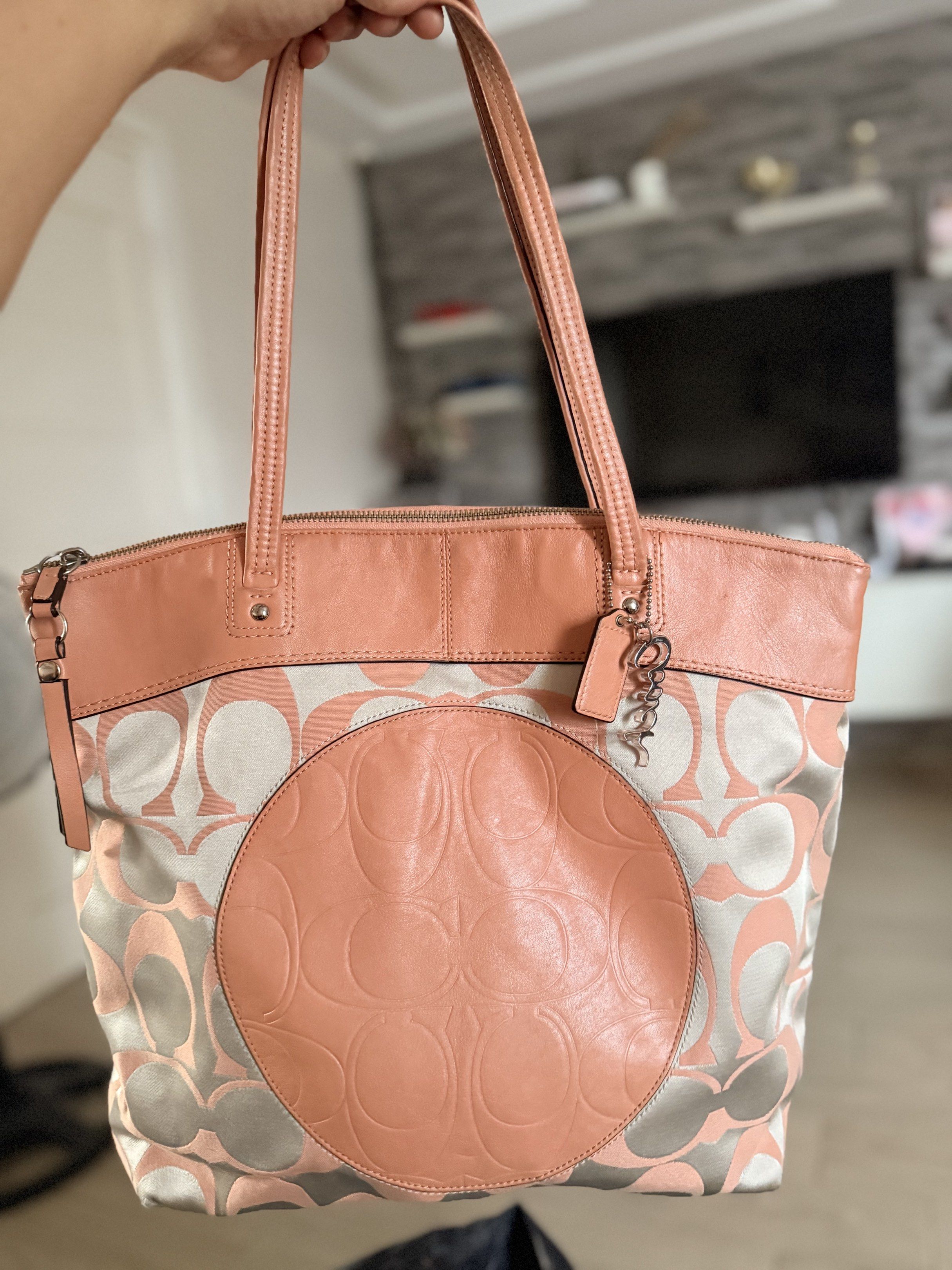 Bags (Category: Shoulder Bags) located in Cabanatuan. Submitted by closet-loop (Listing ID 1420012205, Image 3). Description: All items are preloved..