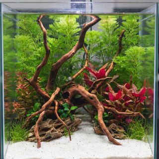 (Category: ) located in . Submitted by built_to_nature (Listing ID 1420012451, Image 1). Description: .