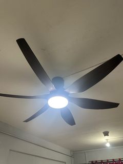 (Category: ) located in . Submitted by jonas69 (Listing ID 1420146108, Image 1). Description: .