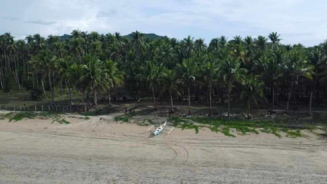 Island for sale Palawan (Category: Lot) located in Manila. Submitted by rbzaragoza1007 (Listing ID 1420002576, Image 3). Description: island in Palawan for sale lot area 52 hectares white sand 120M net.