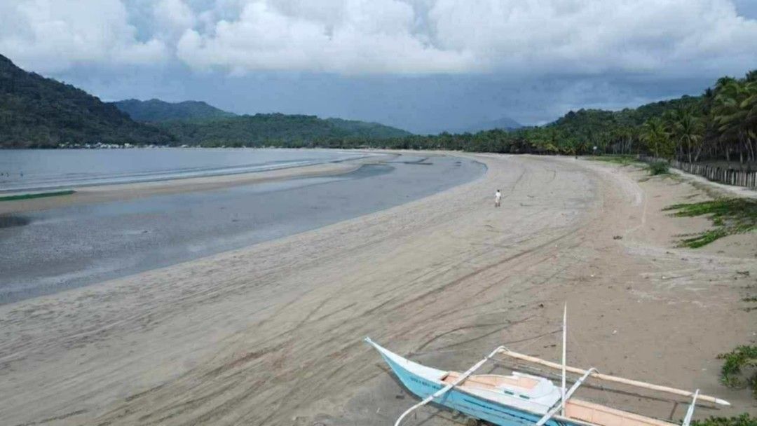 Island for sale Palawan (Category: Lot) located in Manila. Submitted by rbzaragoza1007 (Listing ID 1420002576, Image 2). Description: island in Palawan for sale lot area 52 hectares white sand 120M net.