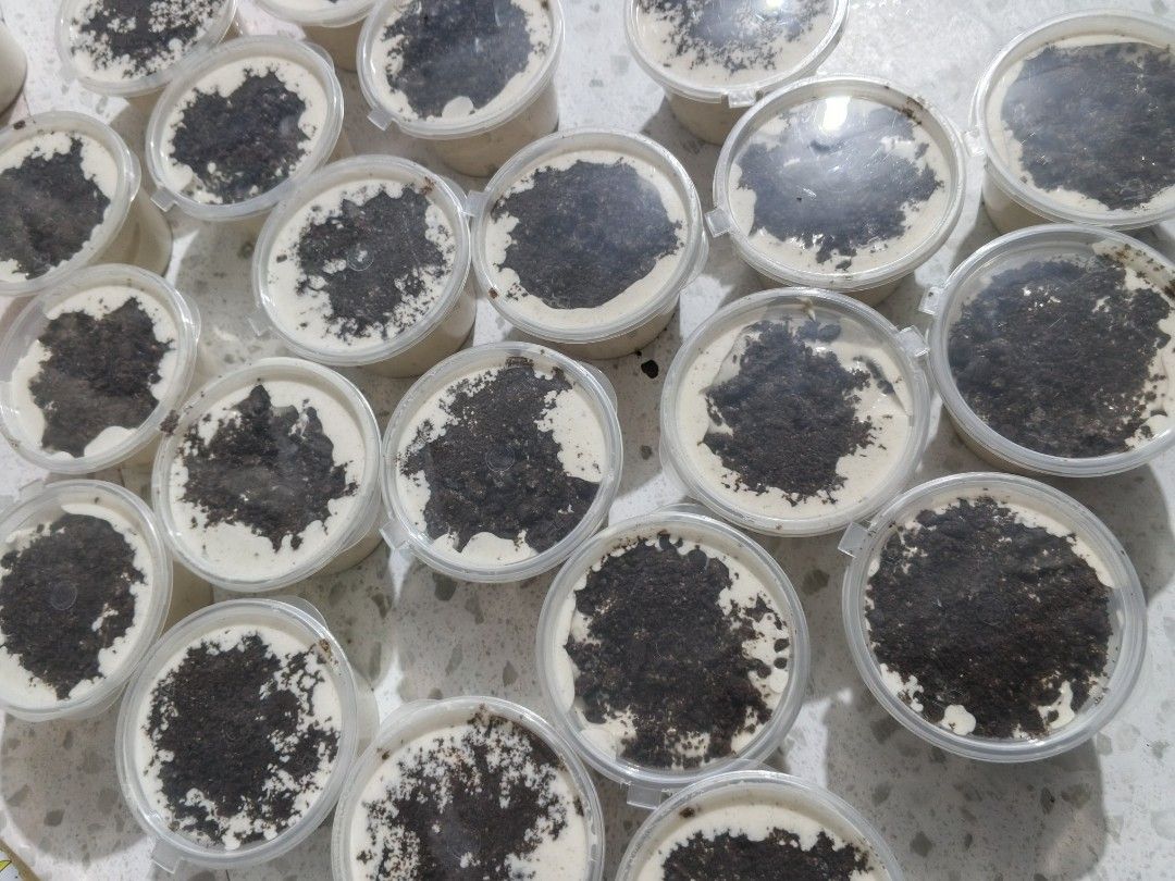 Oreo Dessert in a Cups (Category: Water Bottles & Tumblers) located in Las Pinas. Submitted by mariel_infinity (Listing ID 1420045772, Image 2). Description: Delicious handmade Oreo dessert cups. Each cup is filled with a creamy, sweet base and topped with generous amounts of Oreo cookie crumbs. Perfect for a sweet treat or to share with friends and family. These desserts are freshly made and ready to enjoy. Each cup is sealed with a label that s
