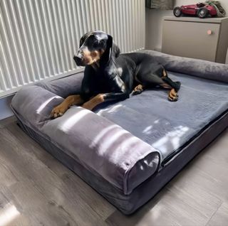 (Category: ) located in . Submitted by livorahome (Listing ID 1420037698, Image 1). Description: .