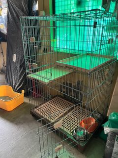 (Category: ) located in . Submitted by liamabaquiao21 (Listing ID 1420122343, Image 1). Description: .
