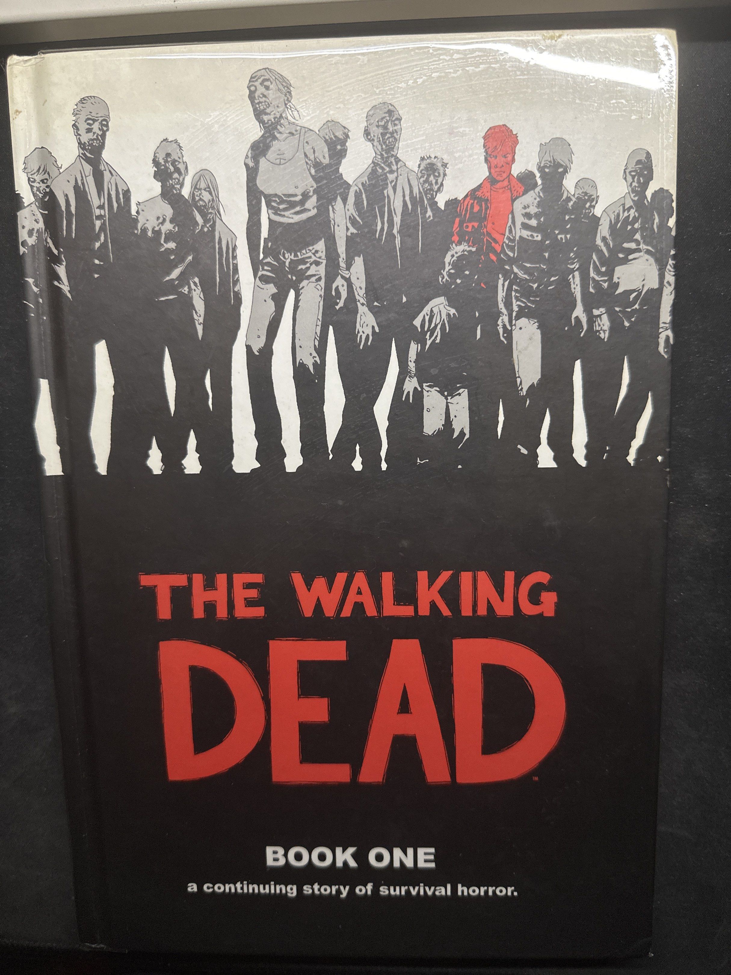 The Walking Dead Book One (Category: Storybooks) located in Pasay City. Submitted by dandeclutter (Listing ID 1420058859, Image 1). Description: - The Walking Dead: Book One Hard Cover - Features a cover with zombies. - Tagline: "a continuing story of survival horror." Rfs:; Decluttering. 🏦 Payment via gcash, maya, unionbank available. ⚠️ No COD. 🚚 Delivery fee will be shouldered by the buyer. Lalamove, grab, moveit, or angkas..
