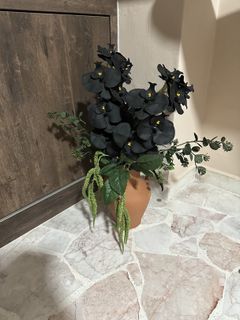 (Category: ) located in . Submitted by martin1912 (Listing ID 1420300135, Image 1). Description: .