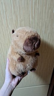 （分類：）位於 。 由 wong_dd 提交（商品編號 1420270866，圖片 1）。簡介： 。