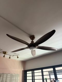 (Category: ) located in . Submitted by Naontara (Listing ID 1420166285, Image 1). Description: .