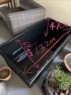 (Category: ) located in . Submitted by veggiebirbs (Listing ID 1420249877, Image 1). Description: .