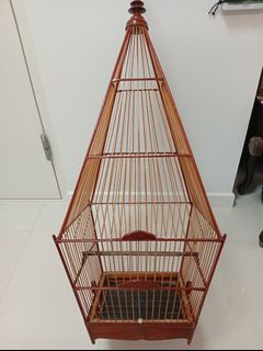 (Category: ) located in . Submitted by birdlovers888 (Listing ID 1420169789, Image 1). Description: .