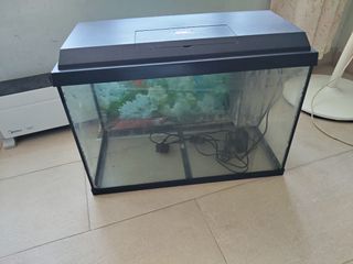 （分類：）位於 。 由 irog119 提交（商品編號 1420277998，圖片 1）。簡介： 。