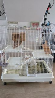(Category: ) located in . Submitted by simonqiu (Listing ID 1420164878, Image 1). Description: .