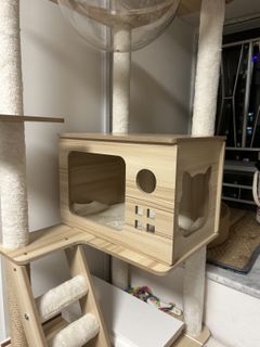（分類：）位於 。 由 yuki00001236097 提交（商品編號 1420309863，圖片 1）。簡介： 。