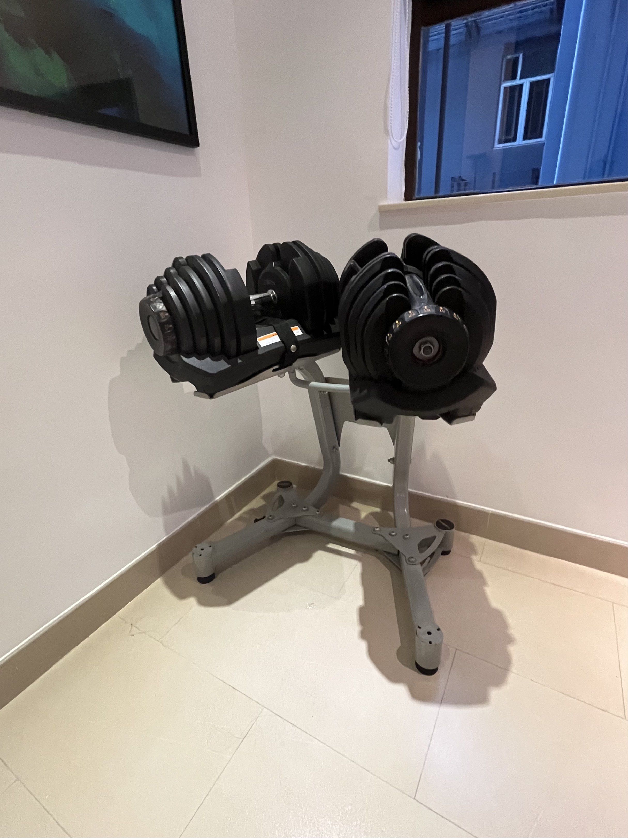 1 對啞鈴 (5-90磅 x 2) Adjustable Dumbbells with Rack #健身#極速調重專業家用啞鈴 (5-90磅 ...
