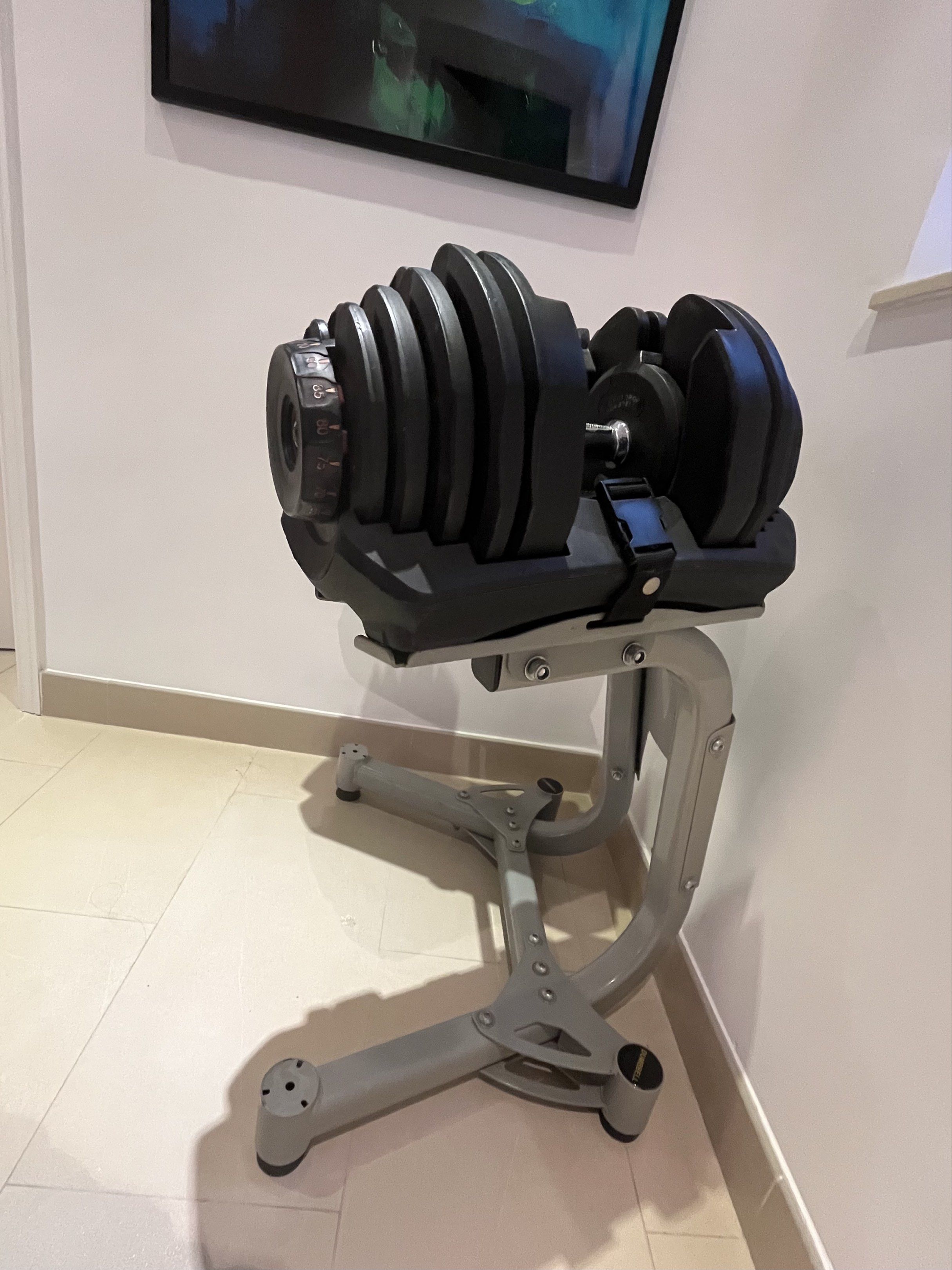 1 對啞鈴 (5-90磅 x 2) Adjustable Dumbbells with Rack #健身#極速調重專業家用啞鈴 (5-90磅 ...