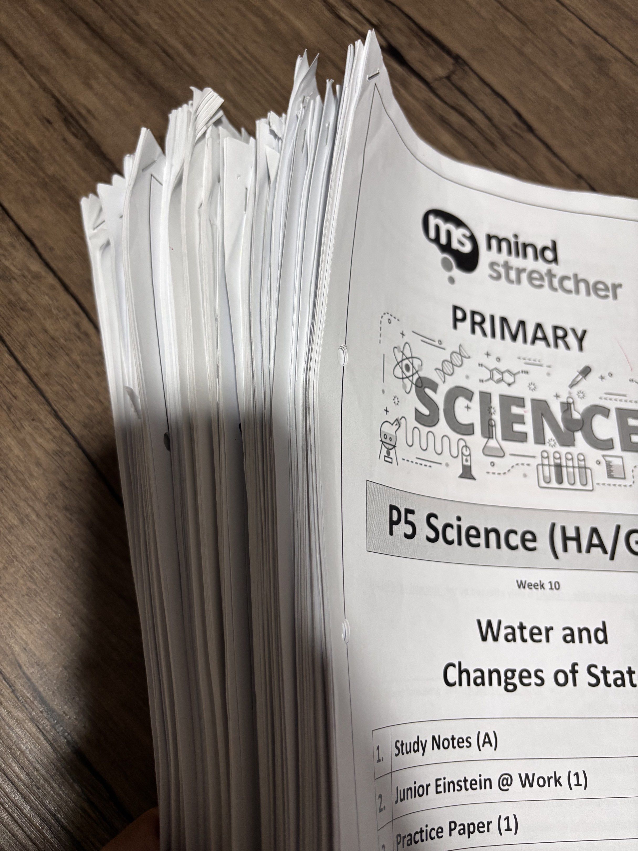 2025 Mind Stretcher P5 Science Worksheets (HA/GEP), Hobbies & Toys