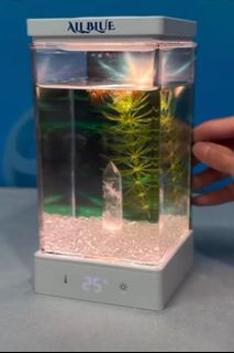 （分類：）位於 。 由 13yyy 提交（商品編號 1420530602，圖片 1）。簡介： 。