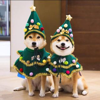 (Category: ) located in . Submitted by nattyly (Listing ID 1420392356, Image 1). Description: .