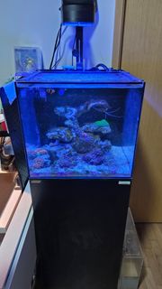 (Category: ) located in . Submitted by fishstiksss (Listing ID 1420378063, Image 1). Description: .
