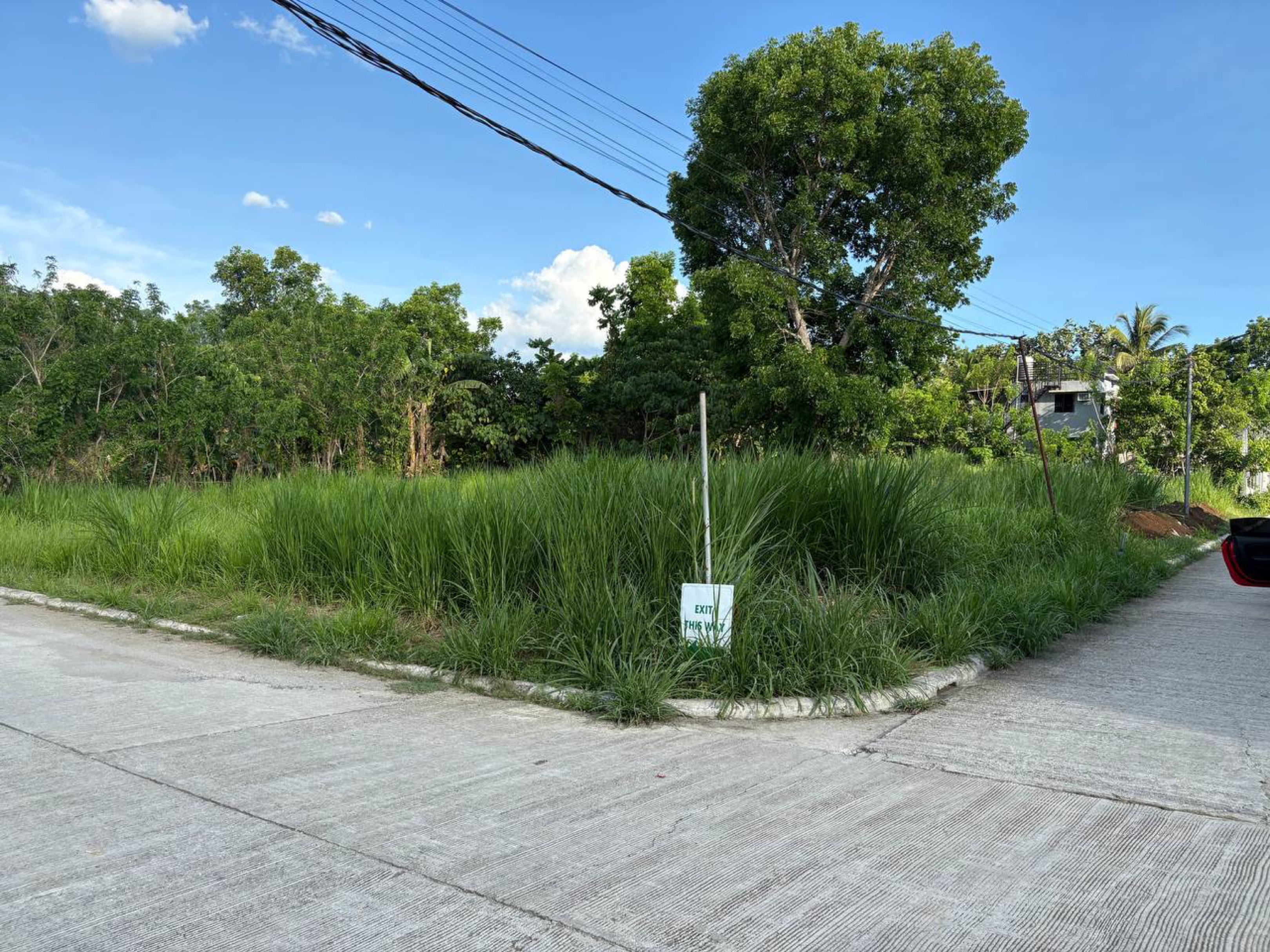 (Category: ) located in . Submitted by ann7126 (Listing ID 1420541344, Image 1). Description: .