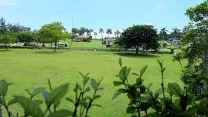Memorial Garden Plot (Category: Memorial Lot) located in Caloocan City. Submitted by michaelgutierrez_4244 (Listing ID 1420376044, Image 3). Description: Can take 16 full bodies..
