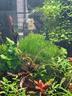 (Category: ) located in . Submitted by yqfalk90 (Listing ID 1416285920, Image 1). Description: .