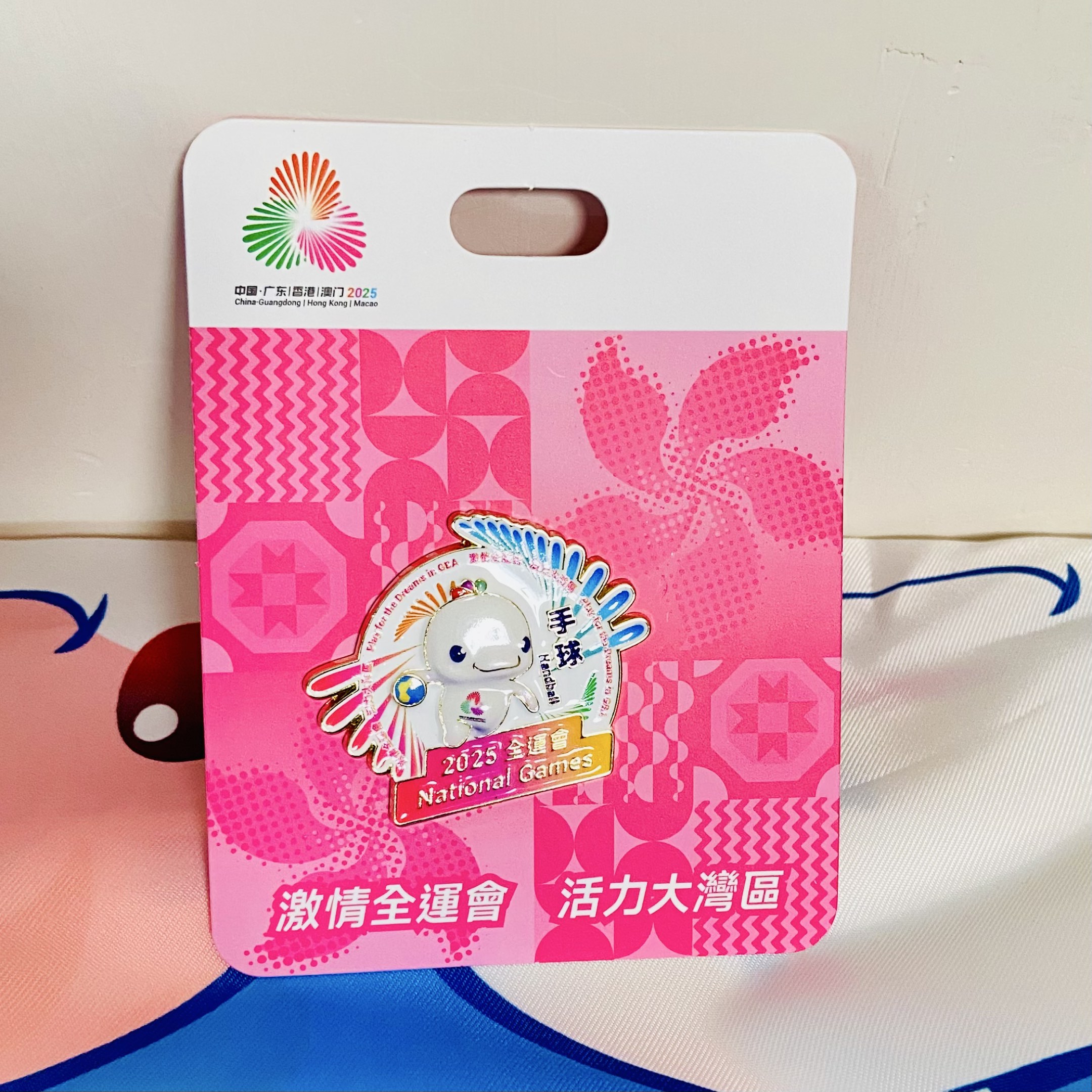 2025 全運會紀念徽章手球 National Games Mascot Pin, 興趣及遊戲, 收藏品及紀念品, 古董收藏 - Carousell