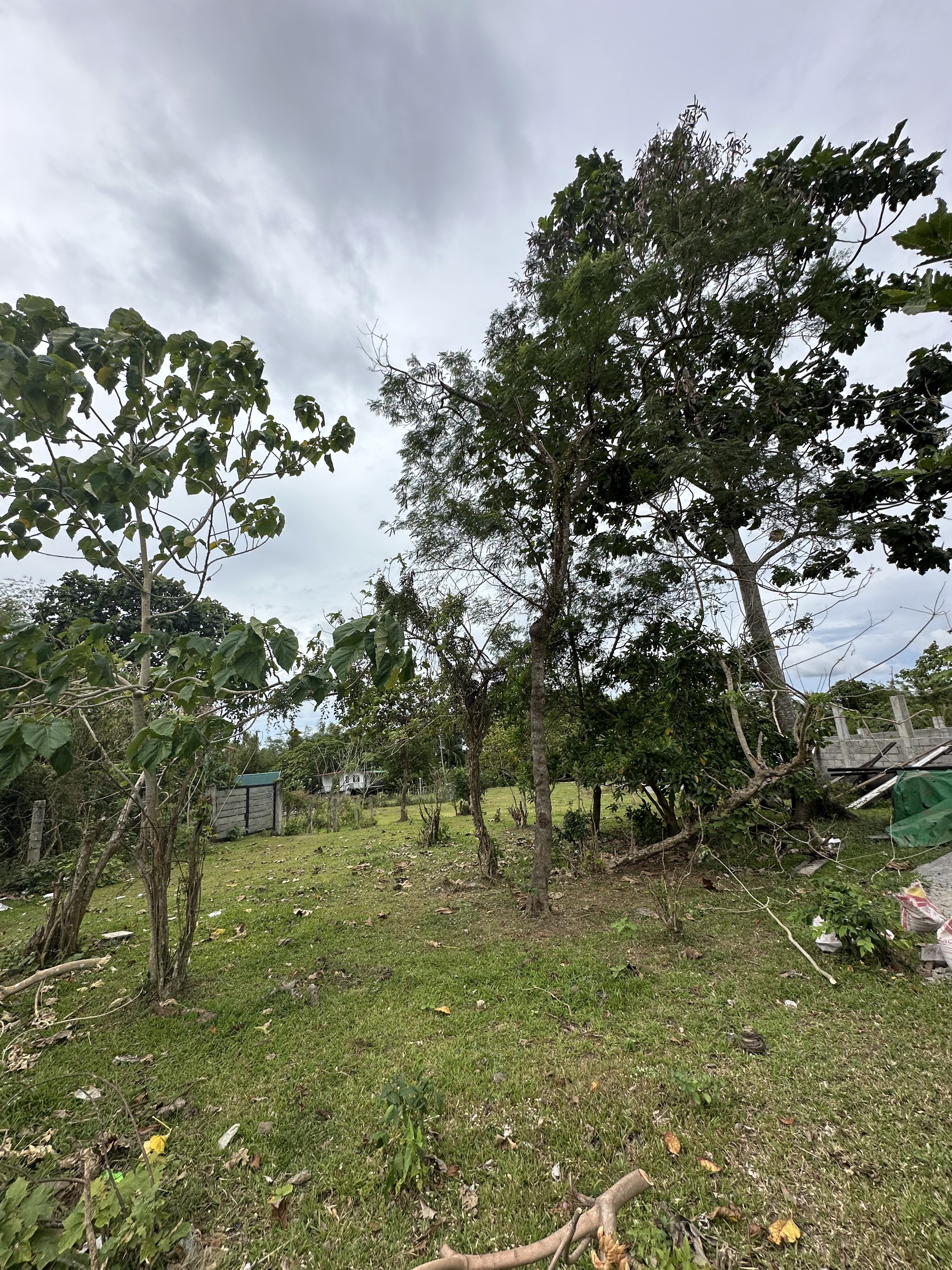 (Category: ) located in . Submitted by houseprospectsph (Listing ID 1420676016, Image 1). Description: .