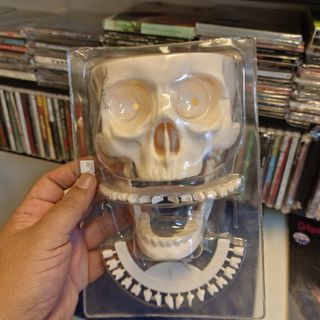 Skull model For Sale | Carousell Malaysia