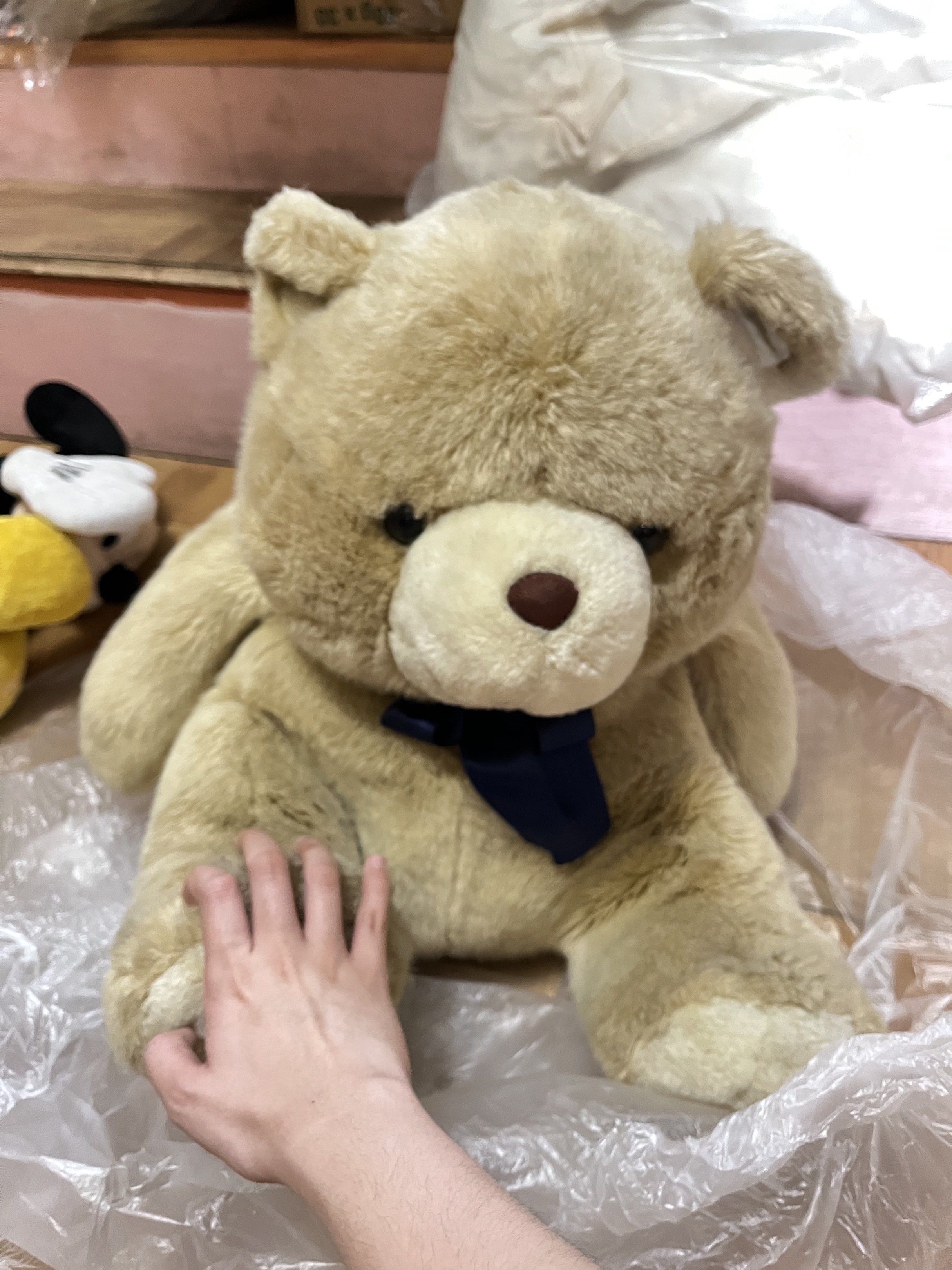Blue Magic Large Beige Teddy Bear with Bow (Category: Plushies & Soft Toys) located in Quezon City. Submitted by bananaicecreamgg (Listing ID 1420602451, Image 1). Description: - Large beige teddy bear - Dark blue bow - Brown nose - Sitting position - Made of soft material.