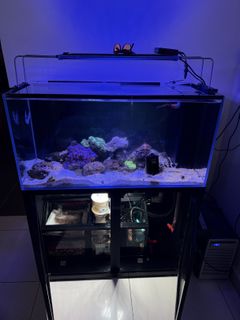 (Category: ) located in . Submitted by kforgetech (Listing ID 1420621105, Image 1). Description: .