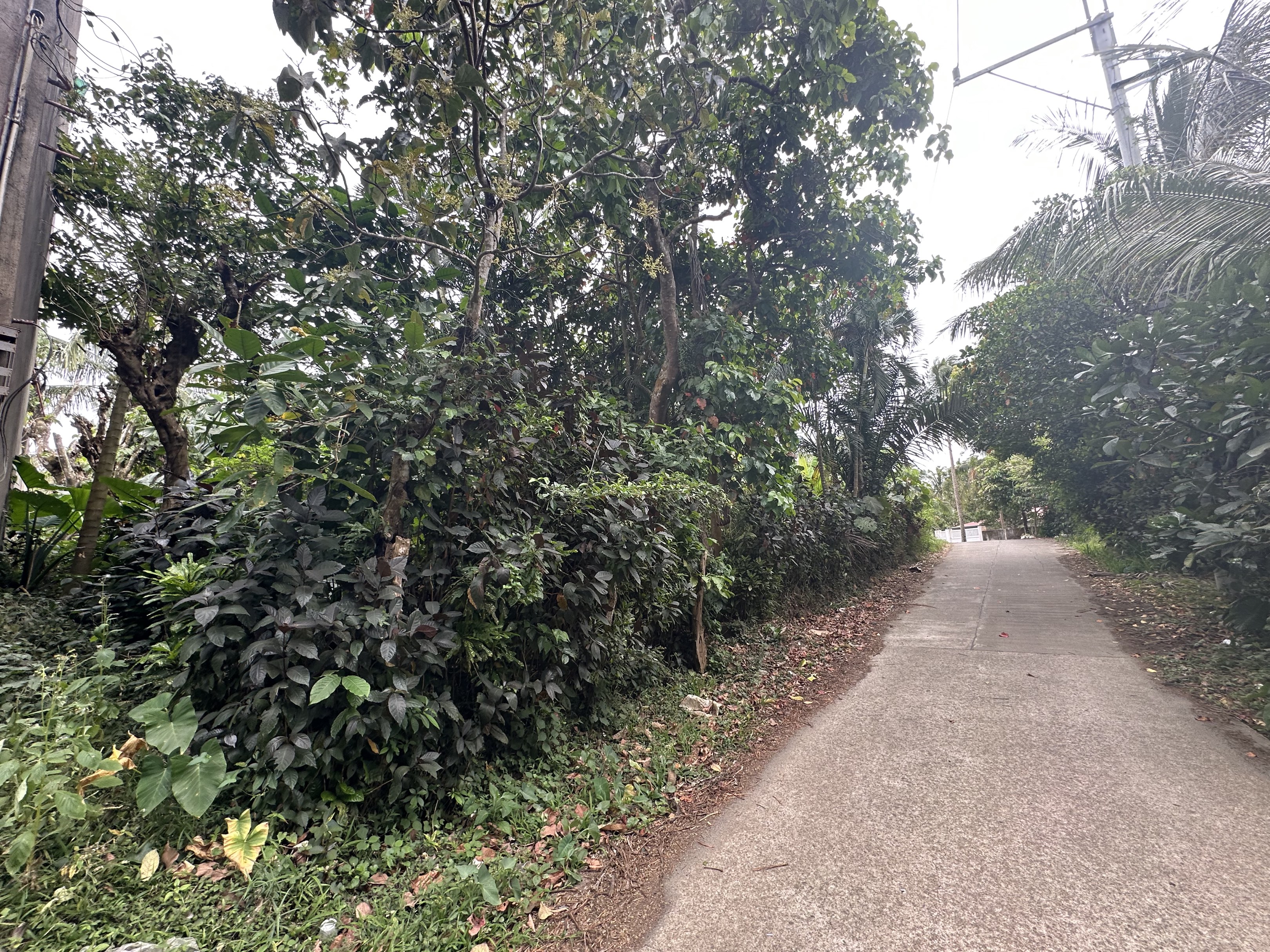 (Category: ) located in . Submitted by houseprospectsph (Listing ID 1420671889, Image 1). Description: .