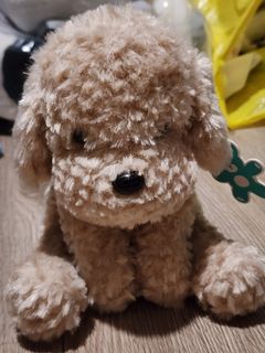 (Category: ) located in . Submitted by aloeverabelle (Listing ID 1417688177, Image 1). Description: .