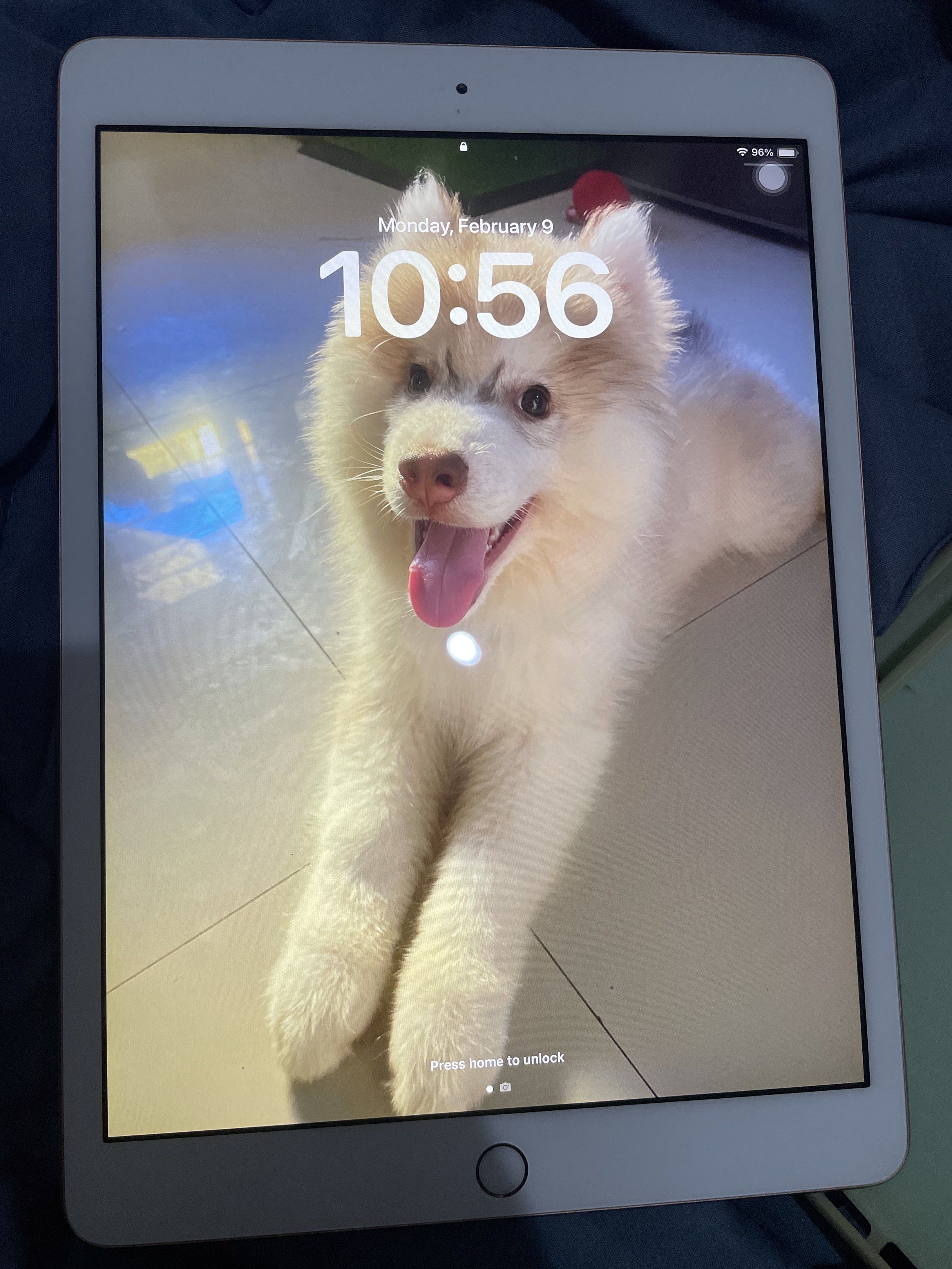 iPad 8th Gen 32GB (WiFi) (Category: iPad) located in Makati City. Submitted by mooncherrielife (Listing ID 1420709853, Image 2). Description: FOR SALE: iPad 8th Gen 32GB (WiFi) – Lady Owned Selling my iPad 8th Generation 32GB (WiFi). ✨ Lady owned ✨ Fully working ✨ No cracks, no major dents ✨ All buttons, camera, speakers working ✨ iCloud signed out / ready to reset 🔋 Battery still working but doesn’t last all day with continuous heavy use (hones